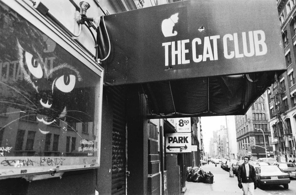 cat club